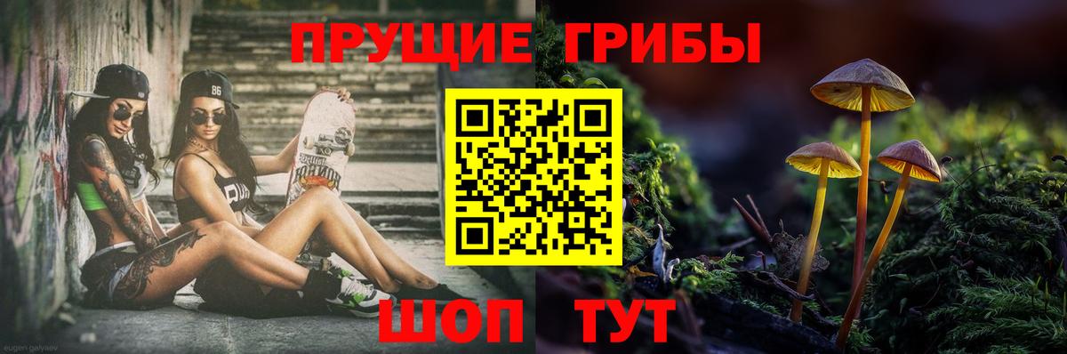 Галлюциногенные грибы Psilocybe  Вход с VPN  купить закладку  Железногорск 