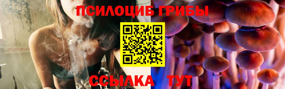 Галлюциногенные грибы мицелий Железногорск
